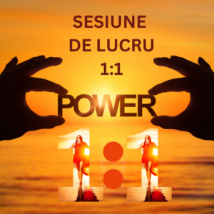 Sesiune de lucru 1:1