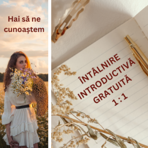 Întâlnire introductivă 1:1